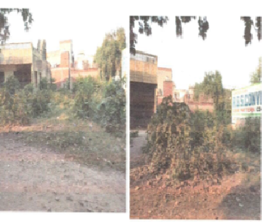 SMG FLOAT GLASS 237241